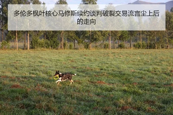 多伦多枫叶核心马修斯续约谈判破裂交易流言尘上后的走向